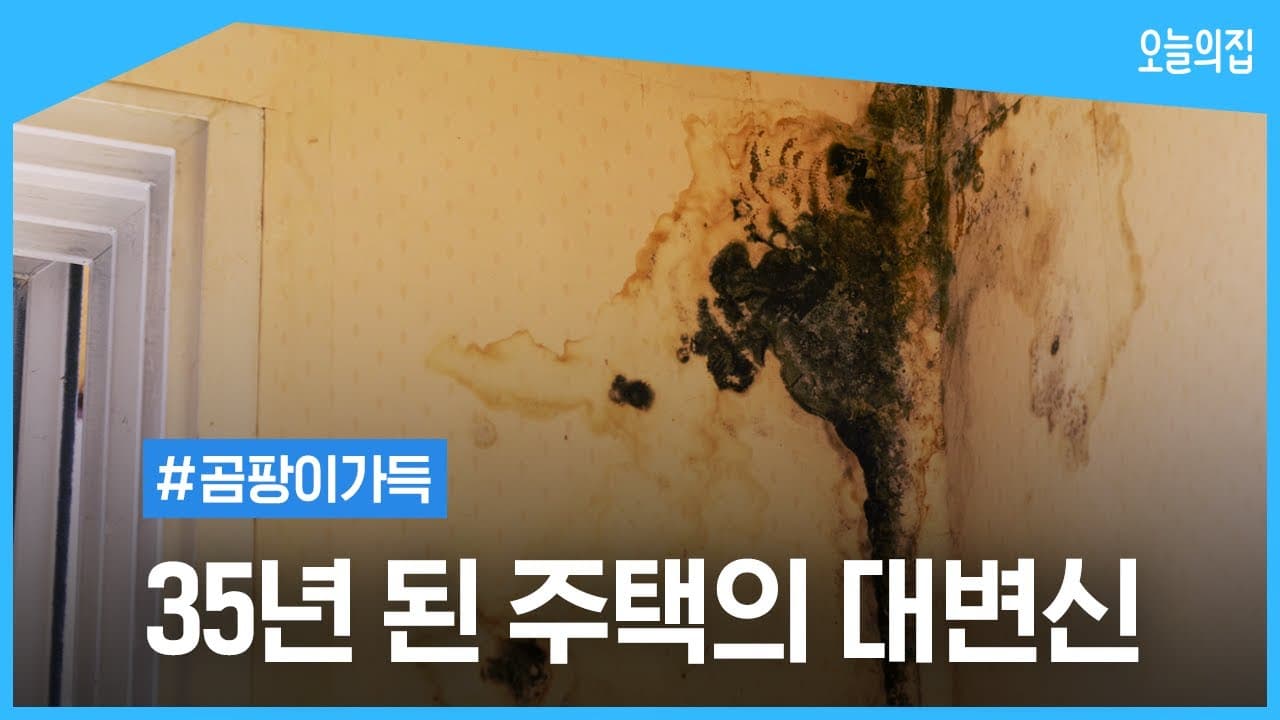  77주년 광복절 기념 : 3대가 지켜낸 터전 위, 새로 지은 '오늘'의 집